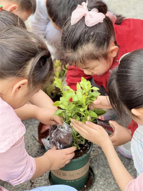 幼儿园主题活动设计（幼儿园主题活动有哪些）