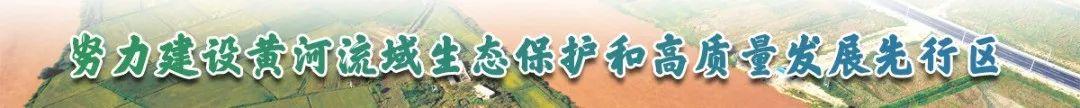 导师带徒徒弟总结（导师带徒徒弟总结200字）