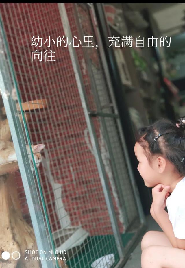 我要的幸福很简单的说说（我要的幸福很简单,一个温暖的怀抱改文英文）