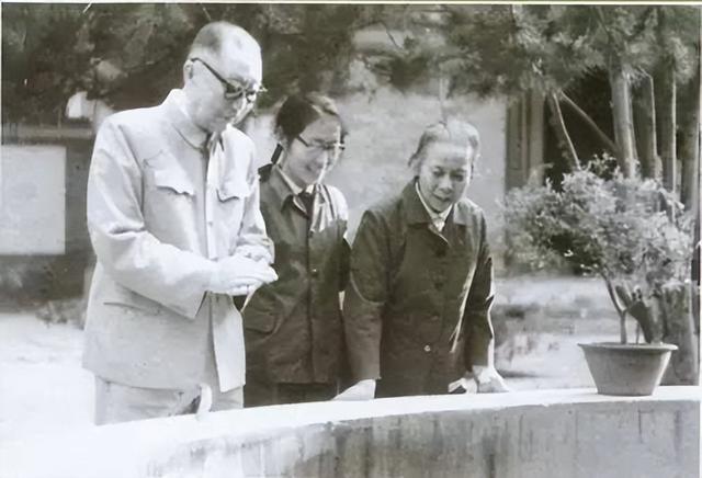 德才表现怎么写50字（部队士兵考学德才表现怎么写）