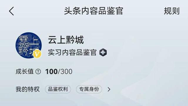 论坛勋章制作（论坛勋章图标）