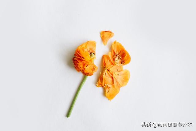 发展适宜性原则的内涵（发展适宜性原则名词解释答案）