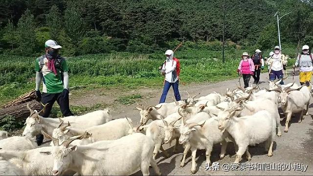 拐弯处的回头四年级参考答案（拐弯处的回头爸爸是一个怎样的人）