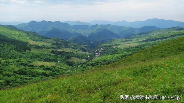拐弯处的回头四年级参考答案（拐弯处的回头爸爸是一个怎样的人）