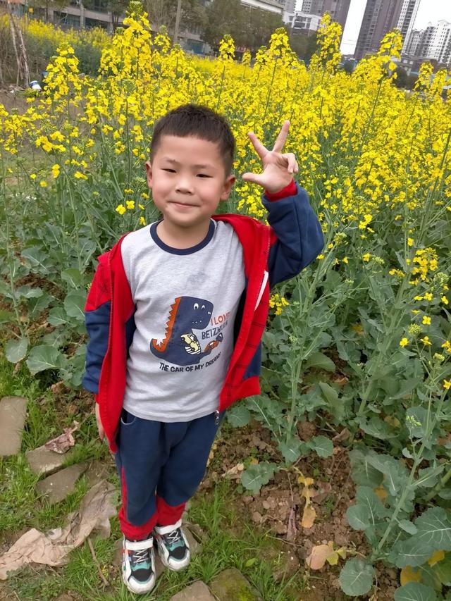 立夏手抄报简单又漂亮一等奖（立夏手抄报简单又漂亮三年级）