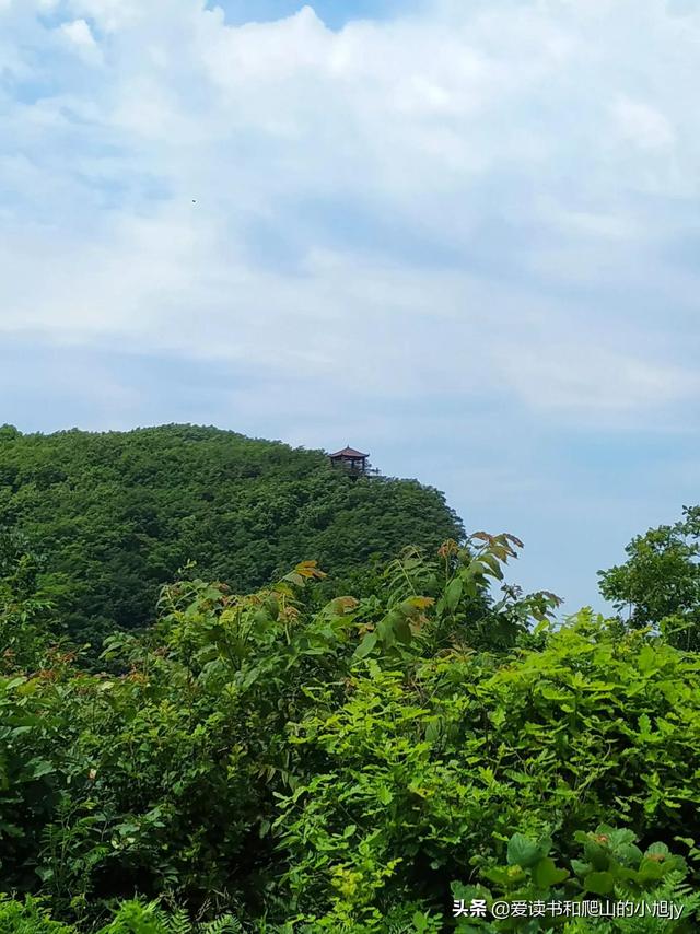 拐弯处的回头四年级参考答案（拐弯处的回头爸爸是一个怎样的人）