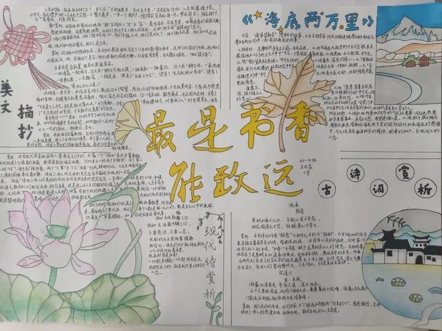 立夏手抄报内容50字（24节气立夏手抄报）