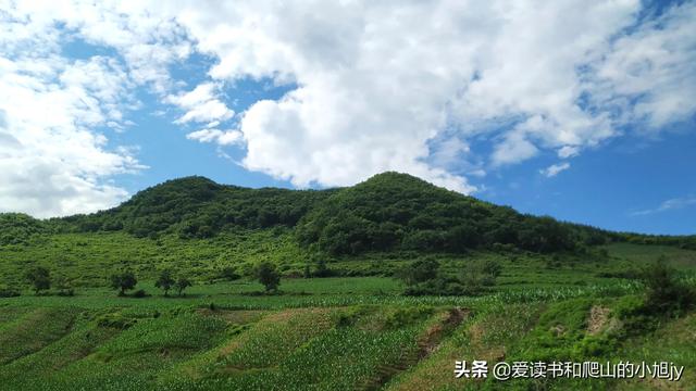拐弯处的回头四年级参考答案（拐弯处的回头爸爸是一个怎样的人）
