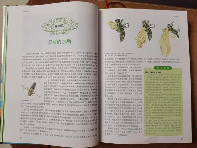 昆虫记阅读感想50字（昆虫记阅读感想100字）