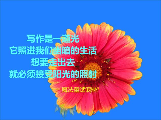 励志积极正能量的文章（关于工作正能量的文章）