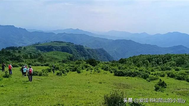 拐弯处的回头四年级参考答案（拐弯处的回头爸爸是一个怎样的人）