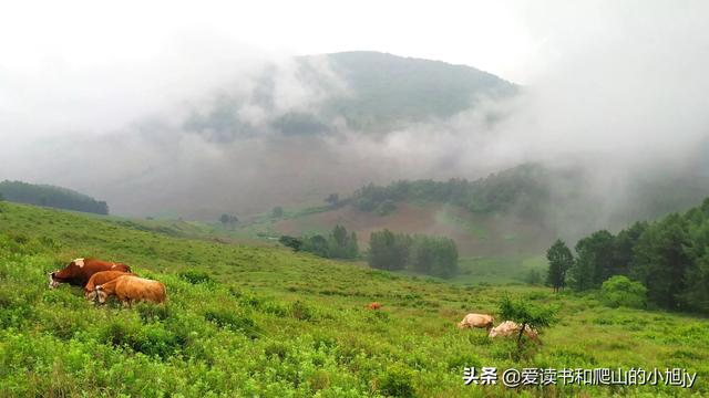拐弯处的回头四年级参考答案（拐弯处的回头爸爸是一个怎样的人）