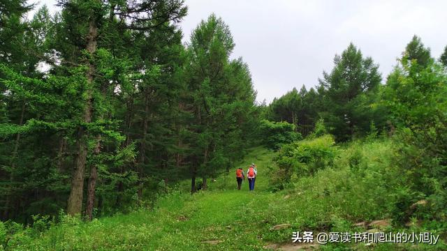 拐弯处的回头四年级参考答案（拐弯处的回头爸爸是一个怎样的人）