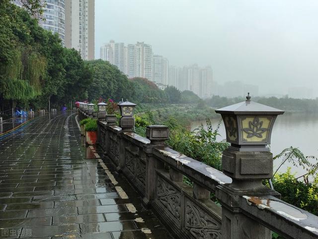 雨的随想汪国真原文感谢，雨的随想汪国真原文图片