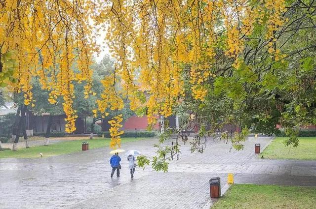 雨的随想汪国真原文，雨的随想汪国真原文朗诵