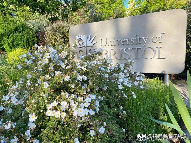留学期间发的实习经历
