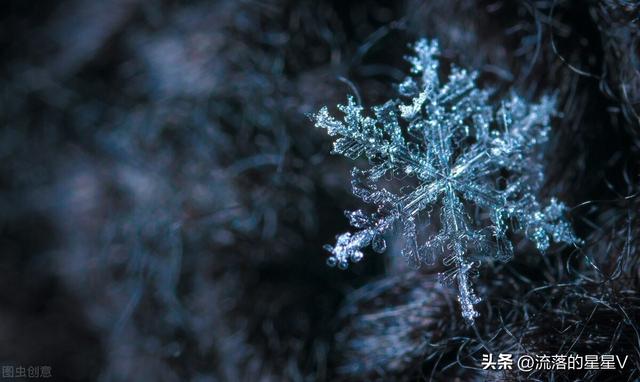 雪花的快乐徐志摩原文，雪花的快乐徐志摩原文拼音