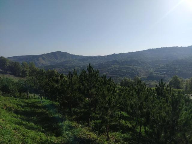 乡下老家土菜馆电话，乡下老家土菜馆电话泰安