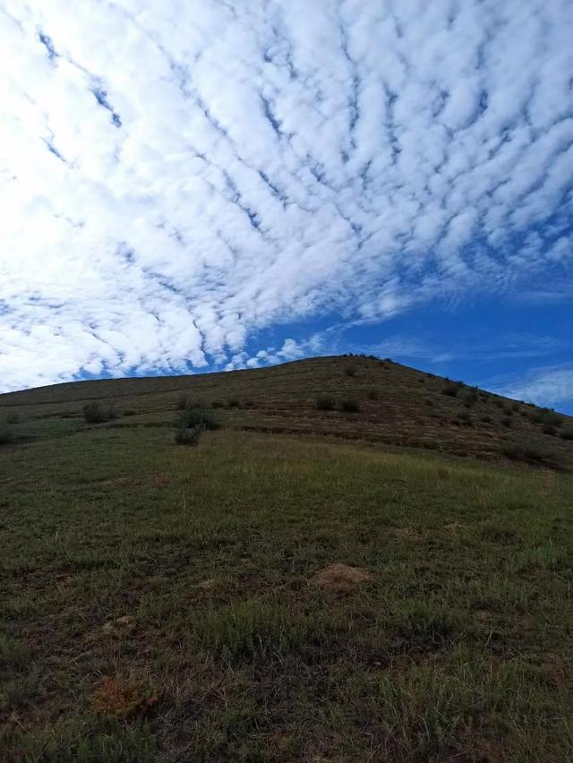 写母亲悼词，母亲悼词范文