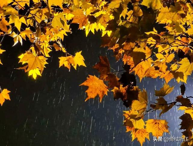 写雨的散文随笔唯美，写雨的散文随笔唯美句子！