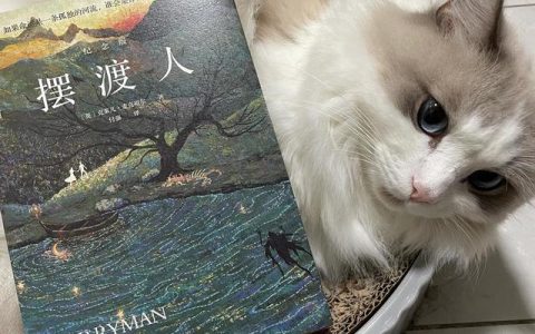 而我只是个摆渡人什么意思，而我只是个摆渡人什么意思啊